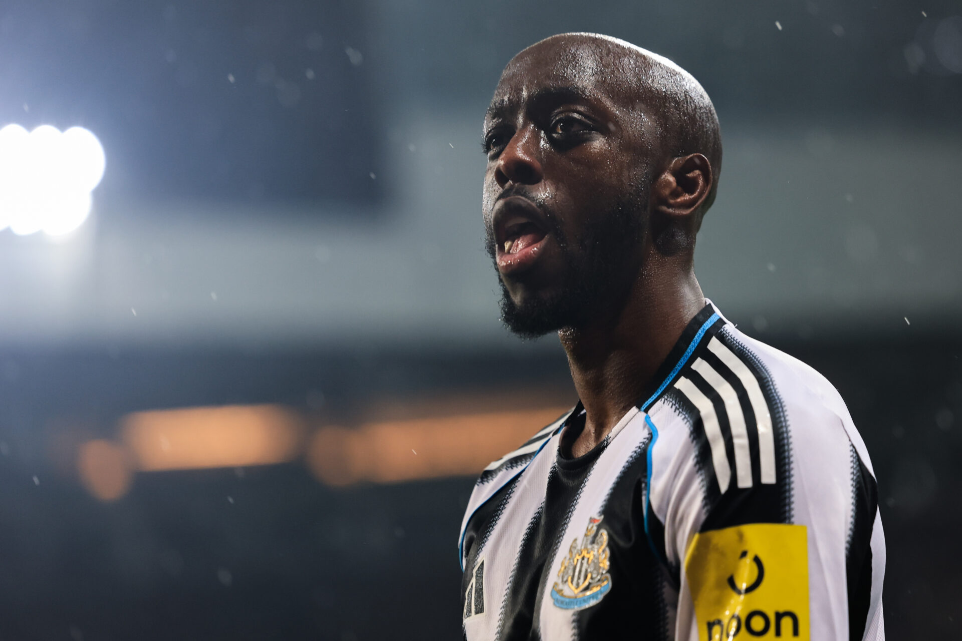 Yoane Wissa gets seal of approval from Newcastle United fans but they have one complaint